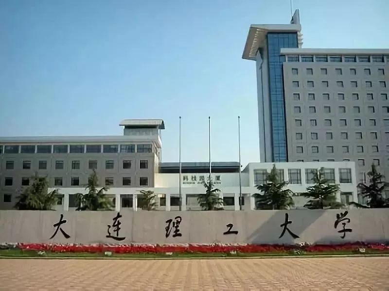 229.jpg